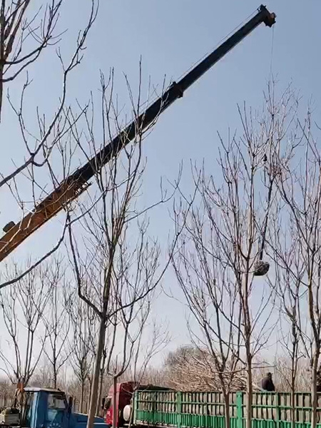 裝車現(xiàn)場(視頻)